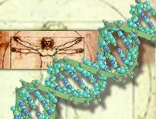 Researchers link gene to deafness