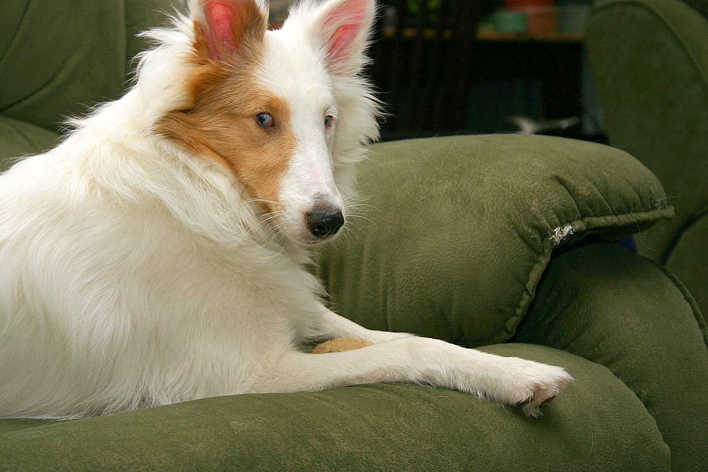 PHOTOBLOG: Toby